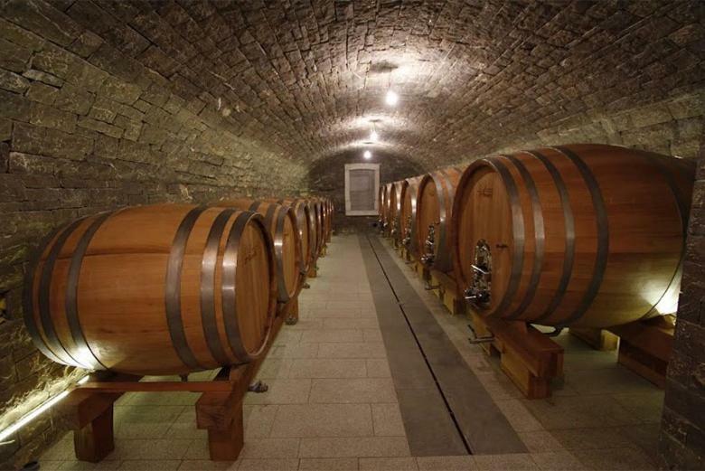 ヴィパーヴァKmetija Tomazic Vinska Klet - Wineryアパートメント エクステリア 写真