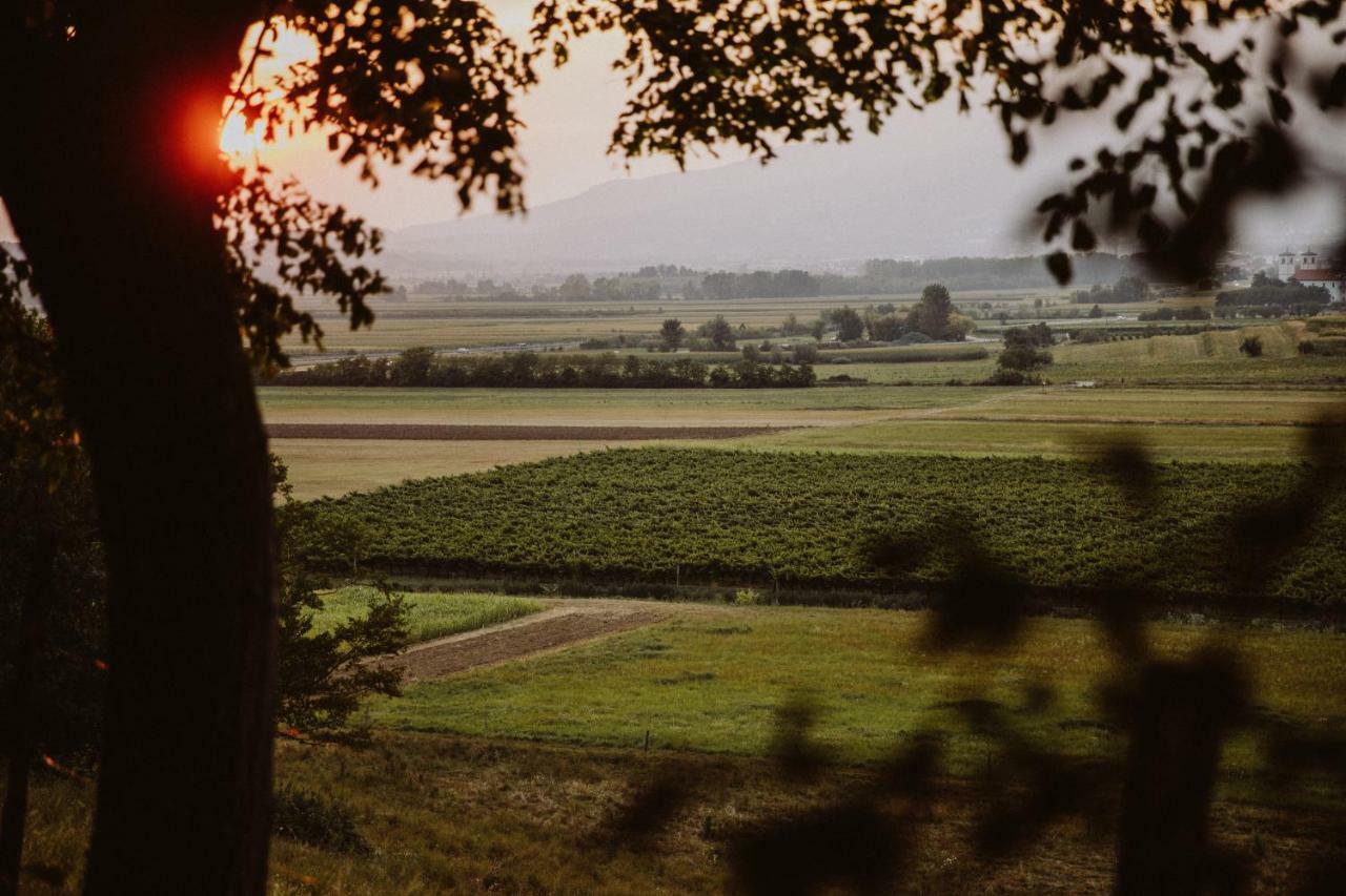 ヴィパーヴァKmetija Tomazic Vinska Klet - Wineryアパートメント エクステリア 写真