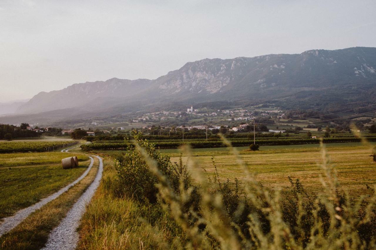 ヴィパーヴァKmetija Tomazic Vinska Klet - Wineryアパートメント エクステリア 写真